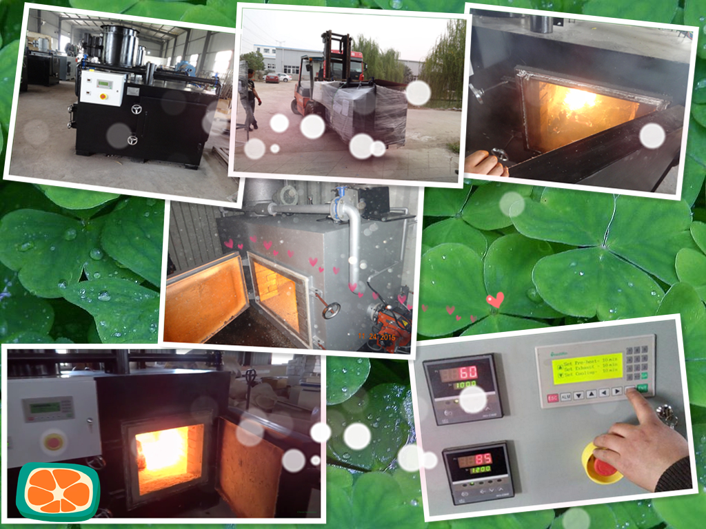 Waste-Incineration-HICLOVER-Model-TS75.JPG