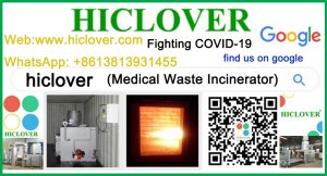 find-hiclover-on02-21-21-46-18.jpg