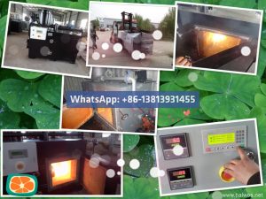 20210518_60a35e368dfb2