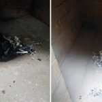 cremation-in-incinerator-chamber.jpg