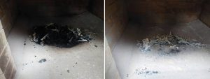 cremation-in-incinerator-chamber.jpg